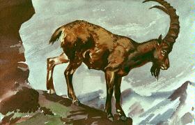 Steinbock