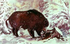 Hauptschwein